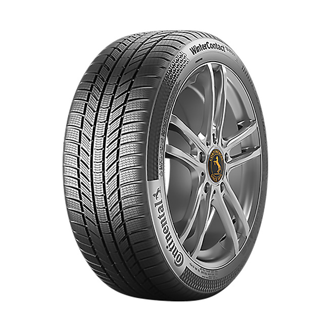 245/45R19 TS870P 102v